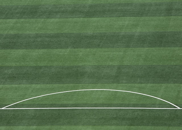 如破竹的五 如破竹的五