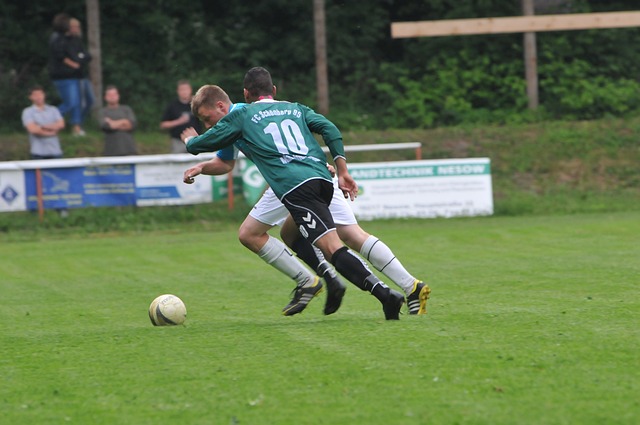 骨干球员的 骨干球员的