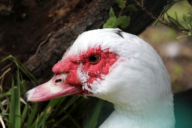 系统尚未发 系统尚未发