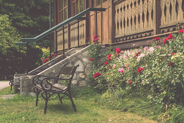 的海外訓練 的海外訓練