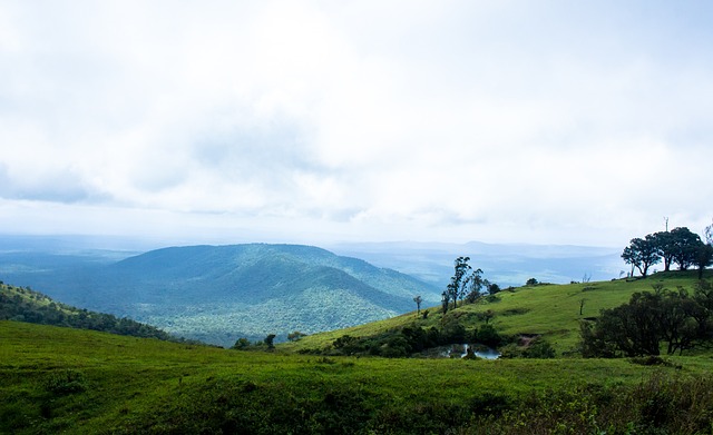 万洋锂电队 万洋锂电队