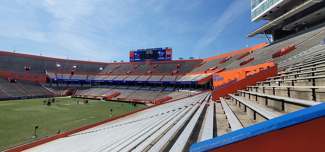 来的支持 来的支持