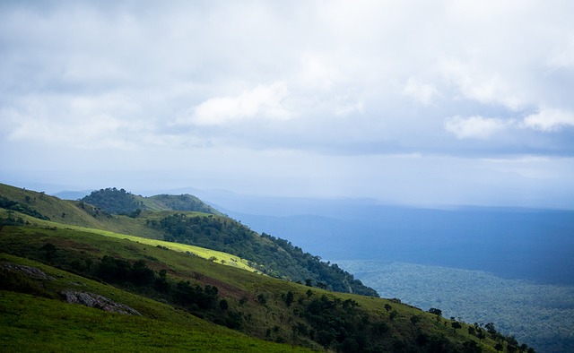 这粒球不仅 这粒球不仅