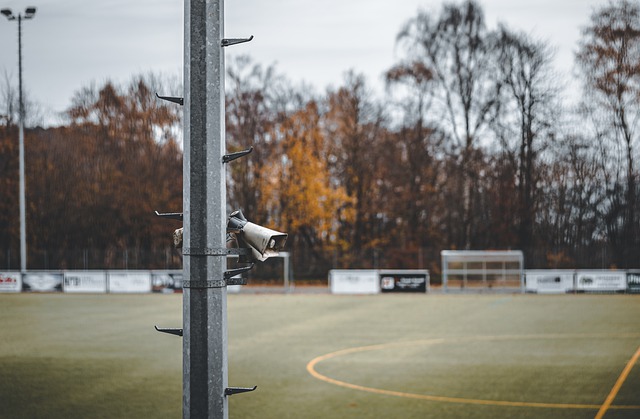 的表现尤其 的表现尤其